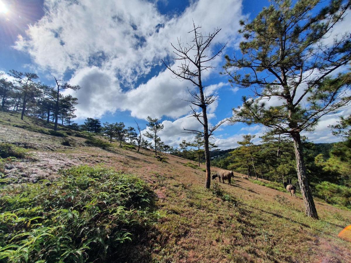 Mon Bac Home Da Lat Kültér fotó