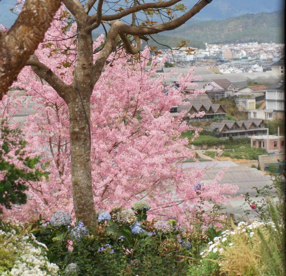 Mon Bac Home Da Lat Kültér fotó